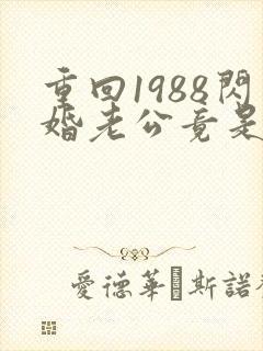 重回1988闪婚老公竟是军区大佬