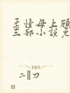 柔情母上顾为第三部小说免费阅读