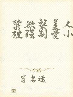 禁欲系美人总是被强制爱小说