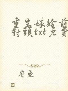 重生嫁给前夫死对头txt免费下载