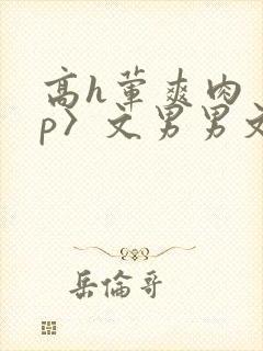 高h荤爽肉〈np〉文男男文