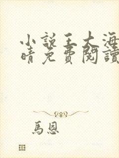 小说王大海与芷晴免费阅读封面