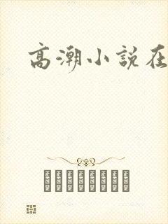 高潮小说在线封面