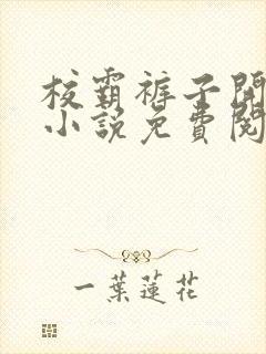 校霸裤子开档后小说免费阅读笔趣阁