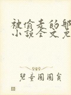 被偷走的那五年小说全文免费阅读