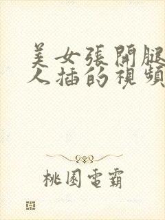 美女张开腿让男人插的视频