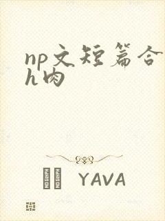 np文短篇合集h肉
