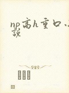 np高h重口小说封面