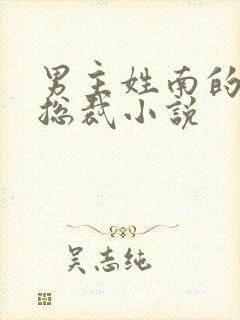男主姓南的霸道总裁小说