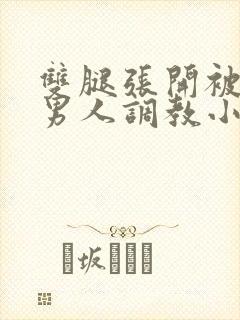 双腿张开被5个男人调教小说封面