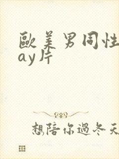 欧美男同性恋gay片封面