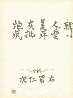 炮灰美人就该被疯批疼爱 小说封面