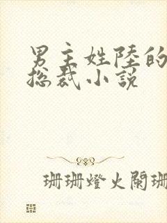 男主姓陆的豪门总裁小说