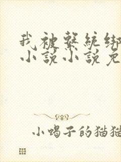 我被系统绑架了小说小说免费观看