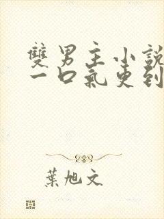 双男主小说推文一口气更到底封面