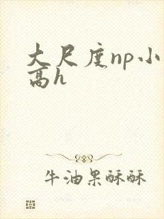 大尺度np小说高h