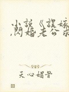 小说《误嫁豪门,闪婚老公求见面》