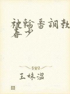 被轮番调教的青春少