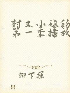 村又小姐的秘密第一季播放