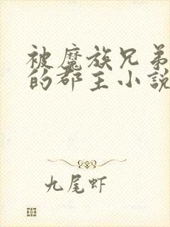 被魔族兄弟囚禁的郡主小说免费阅读全文