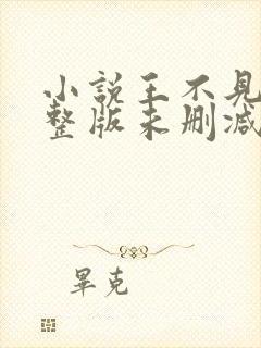 小说王不见王完整版未删减小说