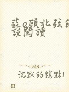 苏o顾北弦的小说阅读