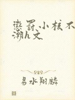 惩罚小核不停高潮h文