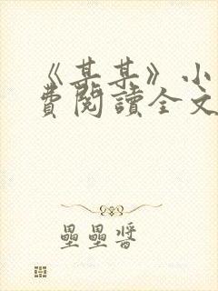 《某某》小说免费阅读全文