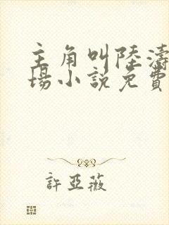 主角叫陆涛的官场小说免费阅读