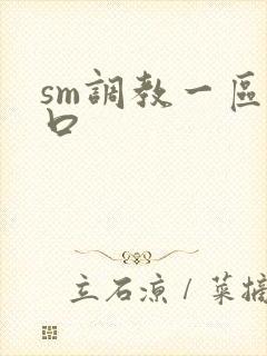 sm调教一区入口