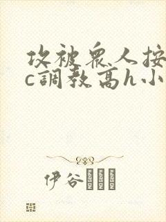 攻被众人按住狠c调教高h小说