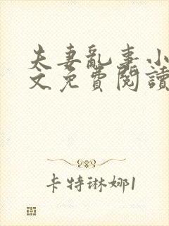 夫妻乱事小说全文免费阅读最新章节