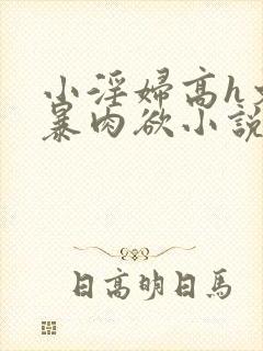 小淫妇高h文黄暴肉欲小说