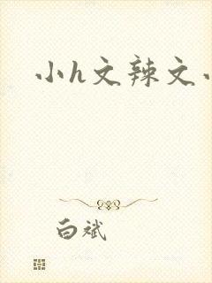 小h文辣文小说封面