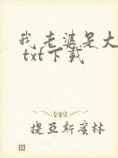 我老婆是大明星 txt下载封面