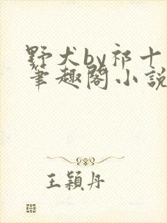 野犬by祁十二笔趣阁小说阅读