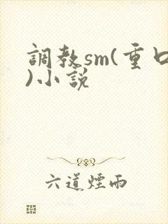 调教sm(重口)小说封面