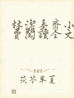 林洁秦齐小说免费阅读全文最新章节