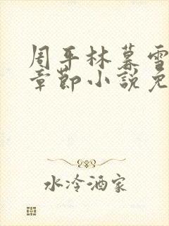 周平林暮雪最新章节小说免费阅读