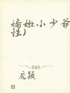 娇嫩小少爷(双性)