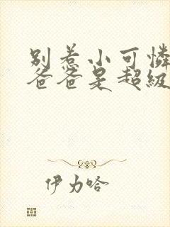 别惹小可怜,他爸爸是超级女儿奴封面