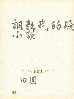 调教我的贱奴h小说封面