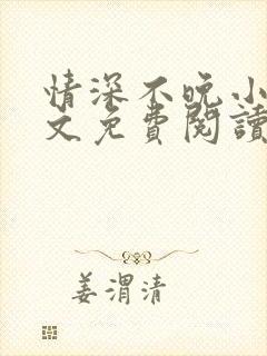 情深不晚小说全文免费阅读封面