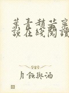 叶青赵若宁的小说在线阅读