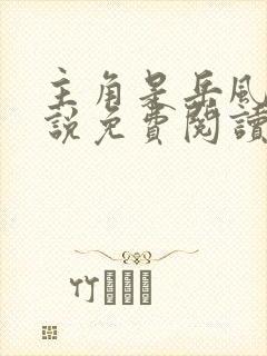 主角是岳风的小说免费阅读最新章节