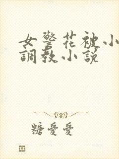 女警花被小混混调教小说