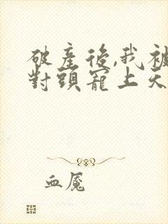 破产后,我被死对头宠上天 小说阅读封面