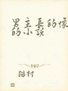 男主长的像女人的小说