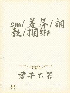 sm/羞辱/调教/捆绑封面