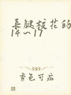 长腿校花的呻吟14～17